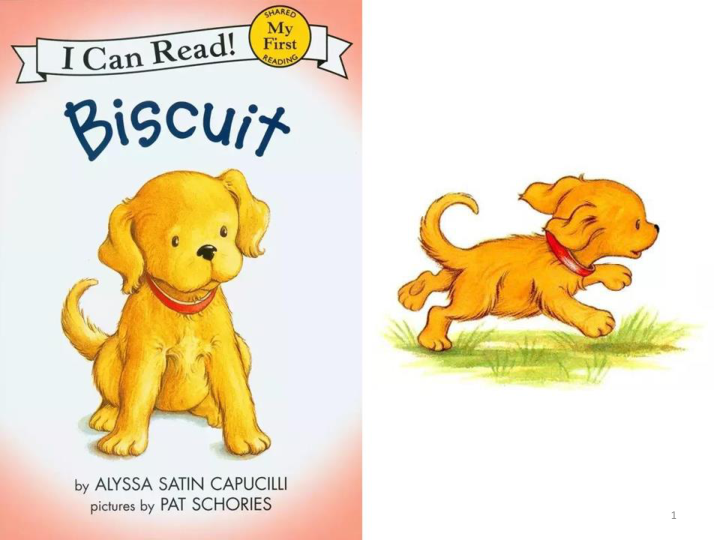 Biscuit 小饼干狗